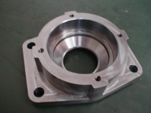 P1010002